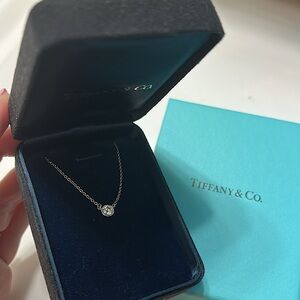 ✨ TIFFANY & Co ✨ Platinum Bezel Set 0.25ct Diamond By The Yard 16in Necklace